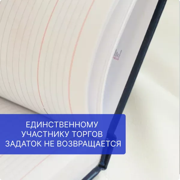 Единственному участнику торгов, как и победителю, задаток не возвращается